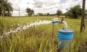 Imagem 6: Haras Chácara com venda por R$1.200.000