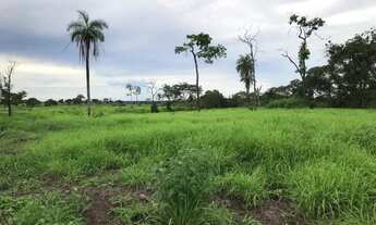 Imagem 4: FAZENDA DUPLA APTIDÃO A VENDA PEDRO AFONSO TO