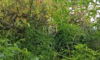 Imagem 6: Terreno para Venda - 356.4m², 0 dormitórios, Coronel Aparício Borges