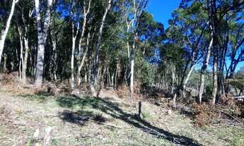 Imagem 3: Excelente área para formar chácara!!!