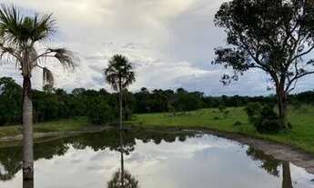 Imagem 4: Fazenda a venda Fazenda / sítio com venda por R$2.700.000
