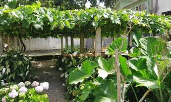 Imagem 4: SãO JOSé - Casa Padrão - Ponta de Baixo