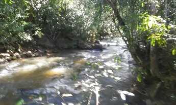 Imagem: Chacara a venda em Pirenópolis,Go