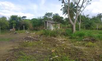 Imagem: Terreno no Jacamim atrás do campo