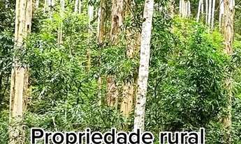 Imagem 3: Propriedade Rural em Atalanta SC