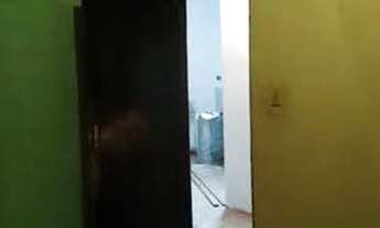 Imagem 3: Alugo ou Vendo casa em Ubatuba com 5 comodos