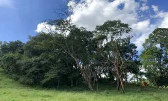 Imagem 6: LP - Vendo terreno amplo