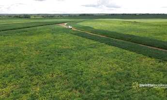 Imagem: Fazenda à venda, 2153 he por R$ 49.840.000