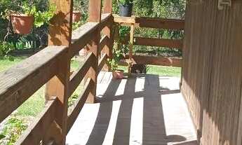 Imagem 4: Vendo sitio em Águas Mornas