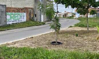 Imagem 3: Terreno na avenida do Albano Franco
