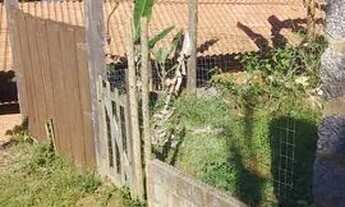 Imagem 2: Lote/Terreno com vista para o mar Morro da Grande - Paraty - RJ