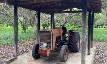 Imagem 5: Vendo Sítio próx a BR-343 de 7ha