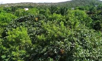 Imagem 4: Alugo Apartamento condomínio Catu de Abrantes