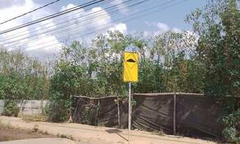 Imagem: Lote/Terreno, Av Sucupira, Riacho fundo