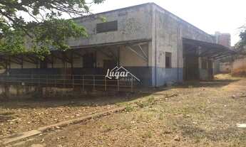 Imagem 2: Barracão Alto Cafezal