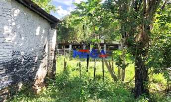 Imagem 3: Fazenda à venda em Tabatinga - Maranguape/CE