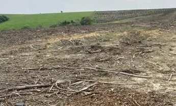 Imagem 3: Vendo Sítio de 22.000 m2 - Monte amor