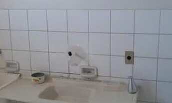 Imagem 7: Excelente apartamento de dois quartos