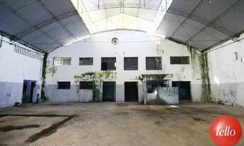 Imagem: São Paulo - Galpão/Depósito/Armazém