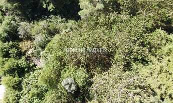 Imagem 5: Lote com Vista para a Pedra do Baú na Região do Alto do Capivari - Campos do Jordão/SP