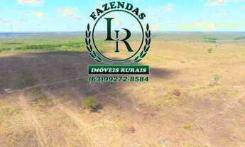 Imagem 4: Fazenda Tocantins 130 Alqueires Lavoura
