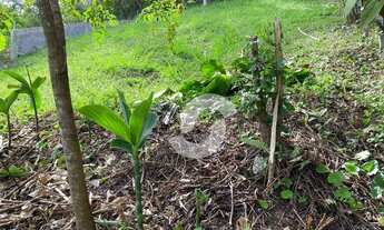 Imagem 2: Terreno à venda, 560 m² por R$ 135.000,00 - Serra Grande - Niterói/RJ