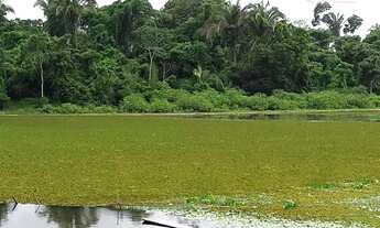 Imagem 4: Área rural à venda, Maranhão Novo, São Luís