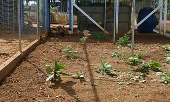 Imagem 5: Vendo chácara na região de Monções/Macaubal