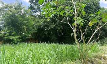 Imagem 3: VENDE-SE TERRENO DE CHÁCARA EM TAQUARUÇU POR R$ 600.000,00