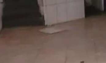 Imagem 4: COMERCIAL - SANTA MARIA - SP