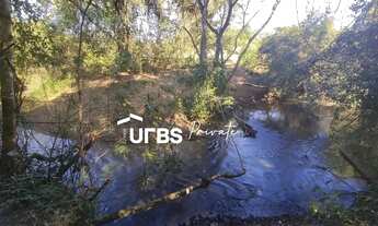 Imagem 4: Fazenda - Chácara - FAZENDA RUIBARBO