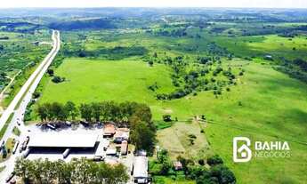 Imagem 3: Terreno plano com 275.000m² - Conceição do Jacuípe - Bahia