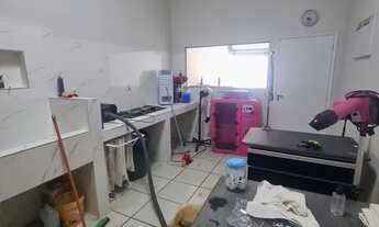 Imagem 4: Loja montada Pet Shop