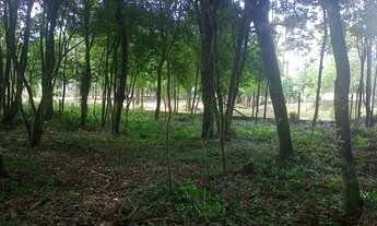 Imagem 6: Terreno em São José dos Pinhais Pr