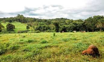 Imagem 3: Vendo 15 hectares de terra dentro da expansão urbana de Goiânia