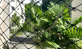 Imagem 6: Apartamento 1 andar 2 quartos alugar