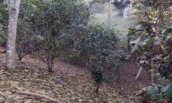 Imagem 3: Chácara à venda em Santana de Parnaíba, Residencial Santa Helena - Gleba I, com 4 quartos