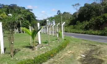 Imagem: Terreno na pista da AM-010, Km 51 com 1.000.000m2