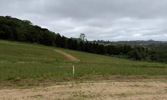 Imagem 4: Oportunidade Única: Lotes 500m² (R$ 64.990) no Residencial Fechado de Cotia!