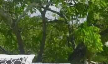 Imagem 5: Imóvel para venda com 450 metros quadrados com 4 quartos em Serrambi - Ipojuca - PE