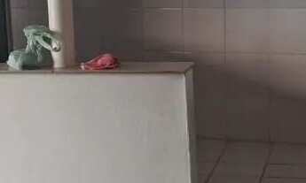 Imagem 7: Casa para Alugar fundo