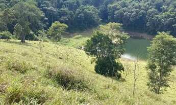 Imagem 5: Sítio 3 alqueires em Santa Isabel SP