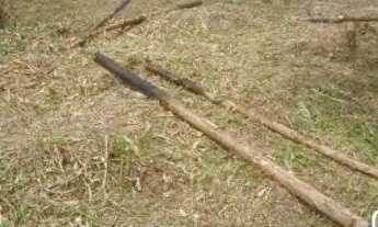 Imagem 2: Bando aceito oferta e trocas