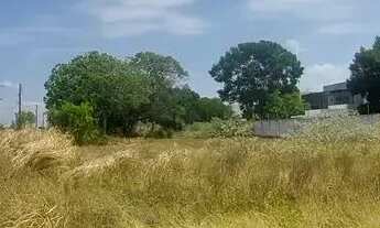 Imagem 7: Imóvel para aluguel tem 450 metros quadrados em Povoado Barra Nova - Marechal Deodoro - AL