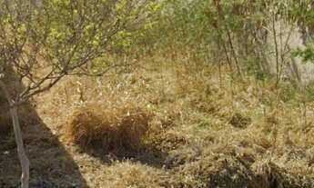 Imagem: Terreno residencial à venda em loteamento