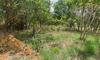 Imagem 6: Chácaras a venda parceladas 40km de Anapolis em Abadiânia!