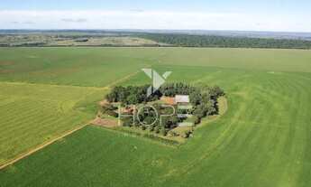 Imagem 7: Fazenda à venda 606 alqueires Santa Cruz de Monte Castelo/PR