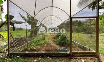 Imagem 7: Sítio à venda Tapera Grande