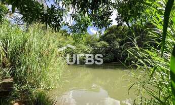 Imagem 5: Chácara Rica em Água e com localização Privilegiada - Sítios Recreio Ipê