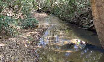 Imagem 6: Chácara com rancho e córrego no fundo em Cromínia!